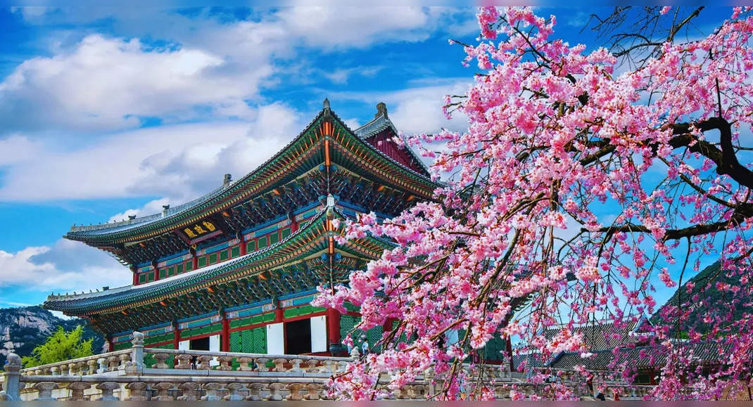 Korea Tour Packages