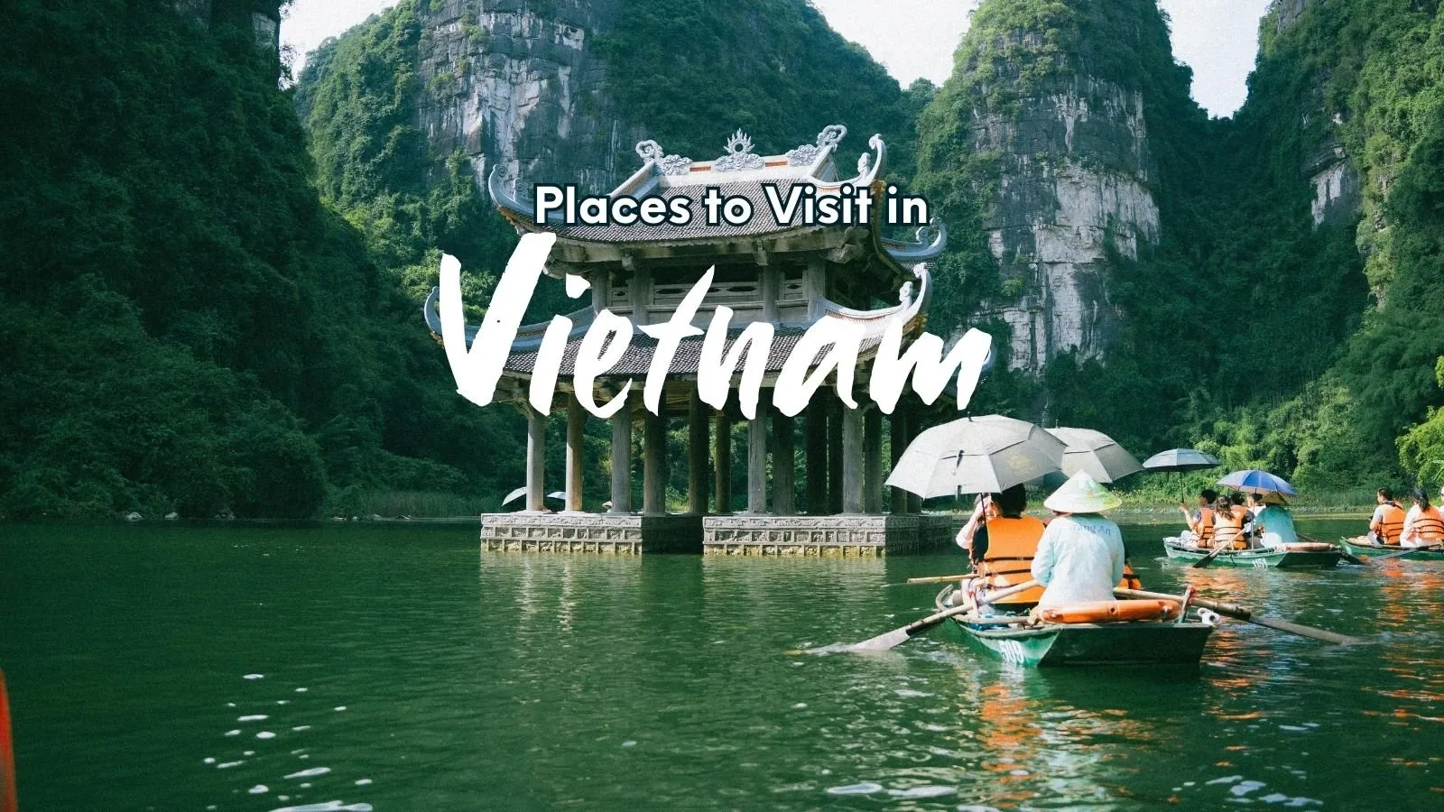 Vietnam Tour Offer